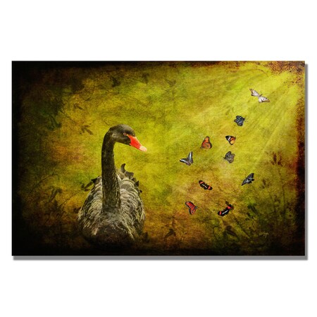 Lois Bryan 'Goose And Butterflies' Canvas Art,16x24